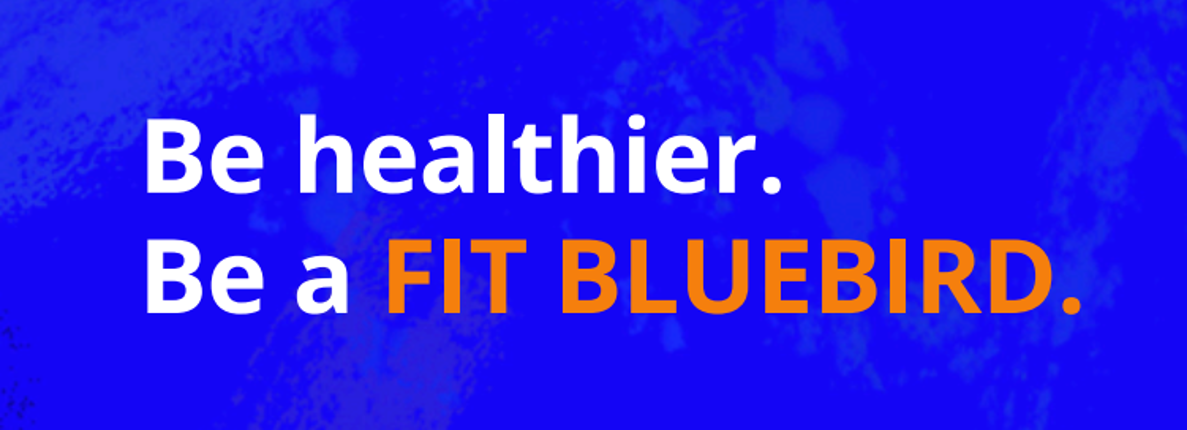 fit bluebird 